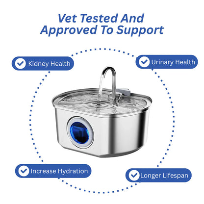 Evina™  Stainless Steel Water Fountain